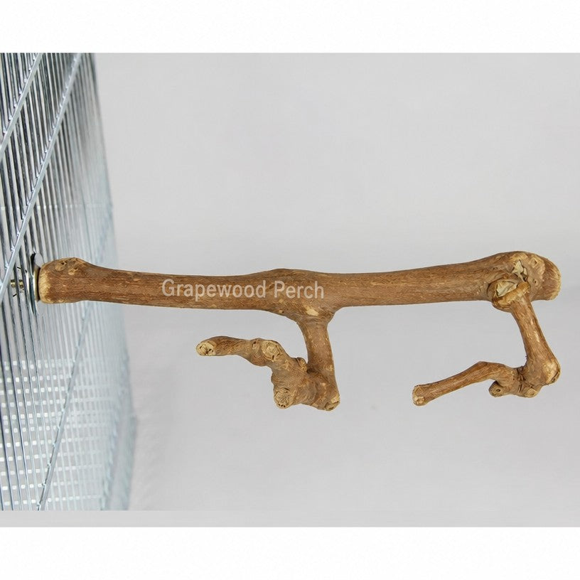 Grapewood Parrot Perch &amp; S - head_007.png