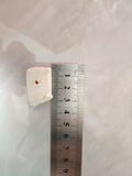 Polished Desalted Cuttlebone B - head_008.webp