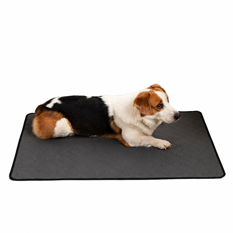Washable Reusable Pet Urine Pa - head_008.png