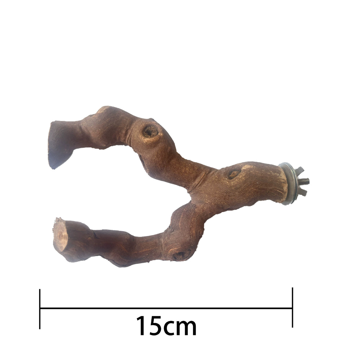 Natural Double-Branch Grapewoo - head_008.webp