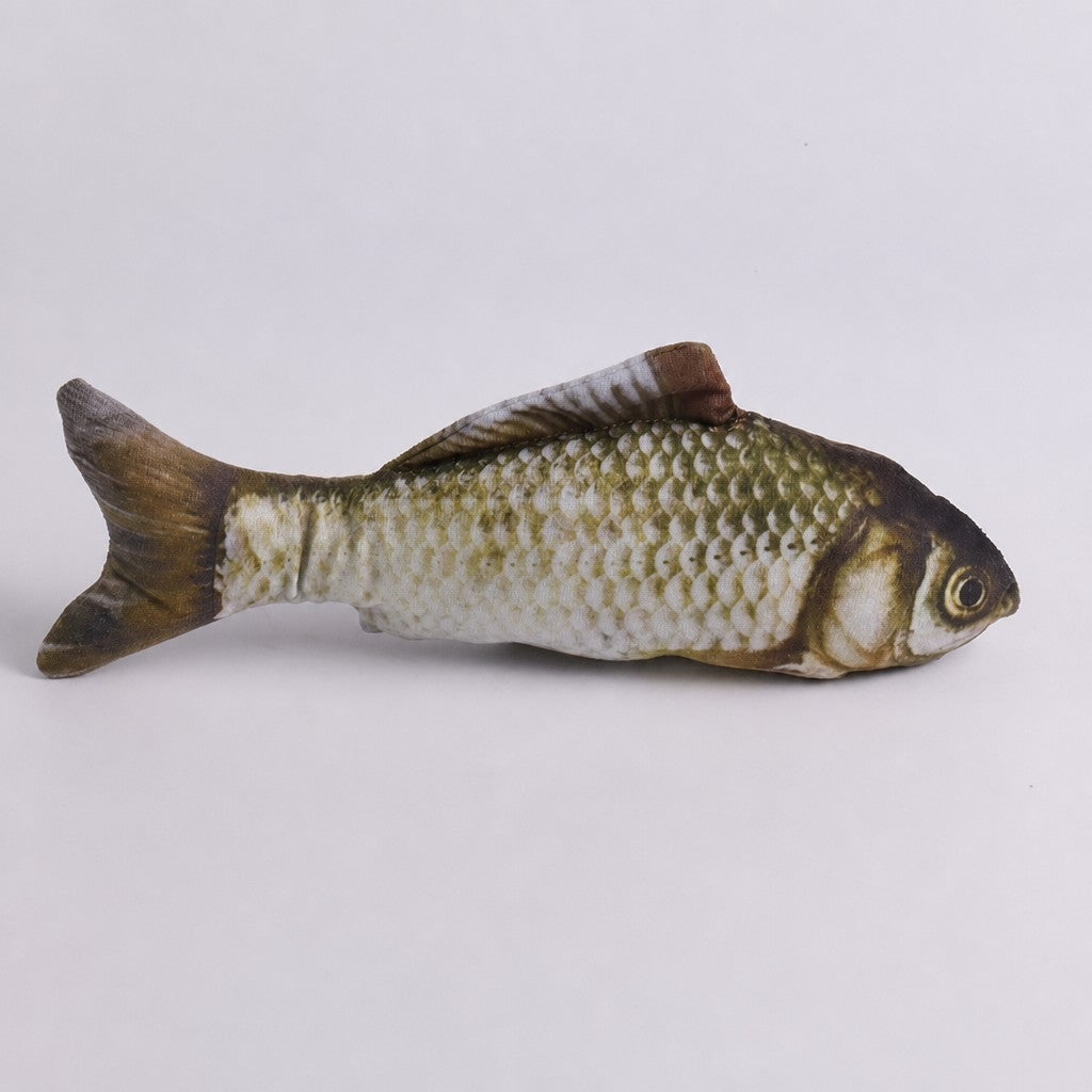 Catnip Fish Plush Toy – Lifeli - head_008.png