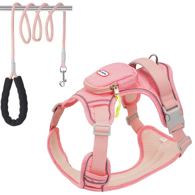 No-Pull Dog Harness & Leash Se - head_008.png