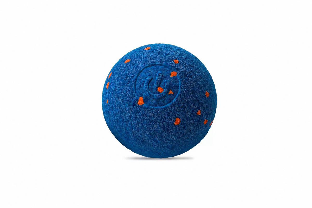 Smart Interactive Dog Ball – E - head_008.png