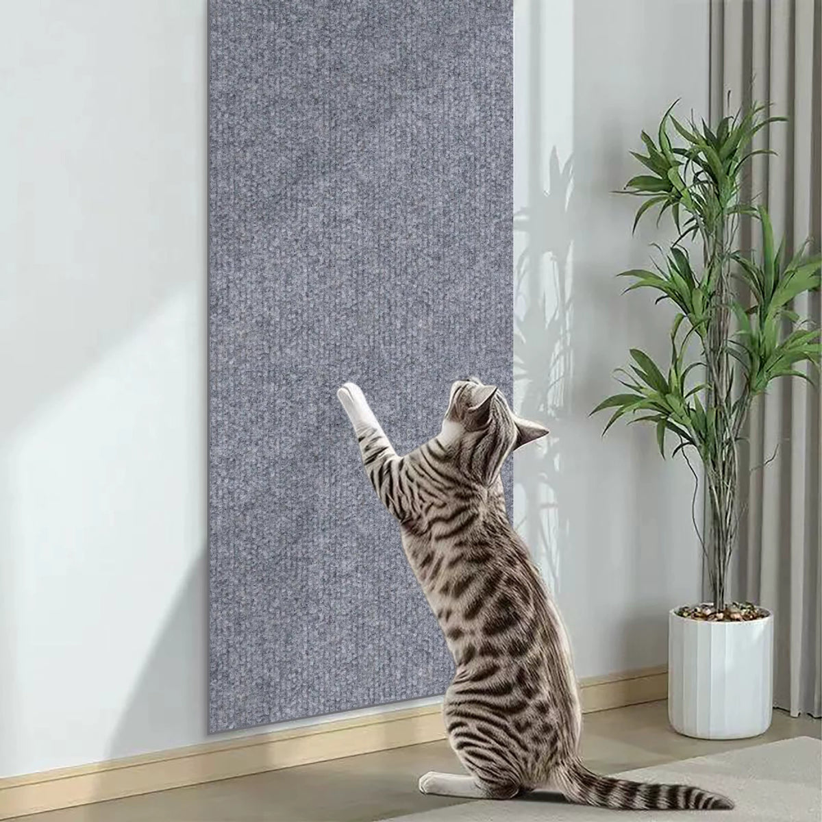 Cat Scratch Protector Stickers - head_008.webp