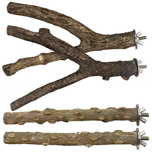 Wooden Perch &amp; Platform Co - head_008.webp