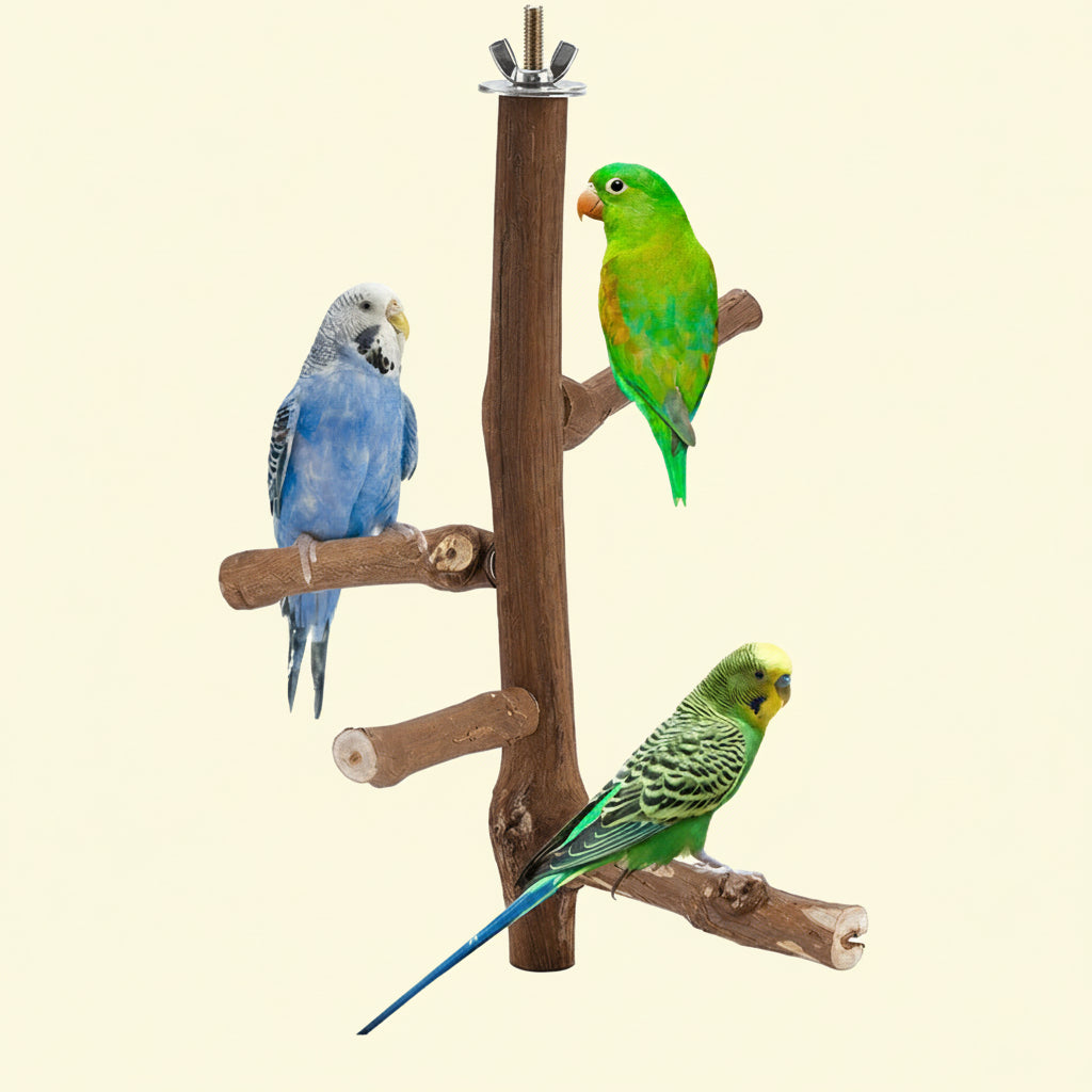 Grapewood Parrot Perch &amp; S - head_009.png