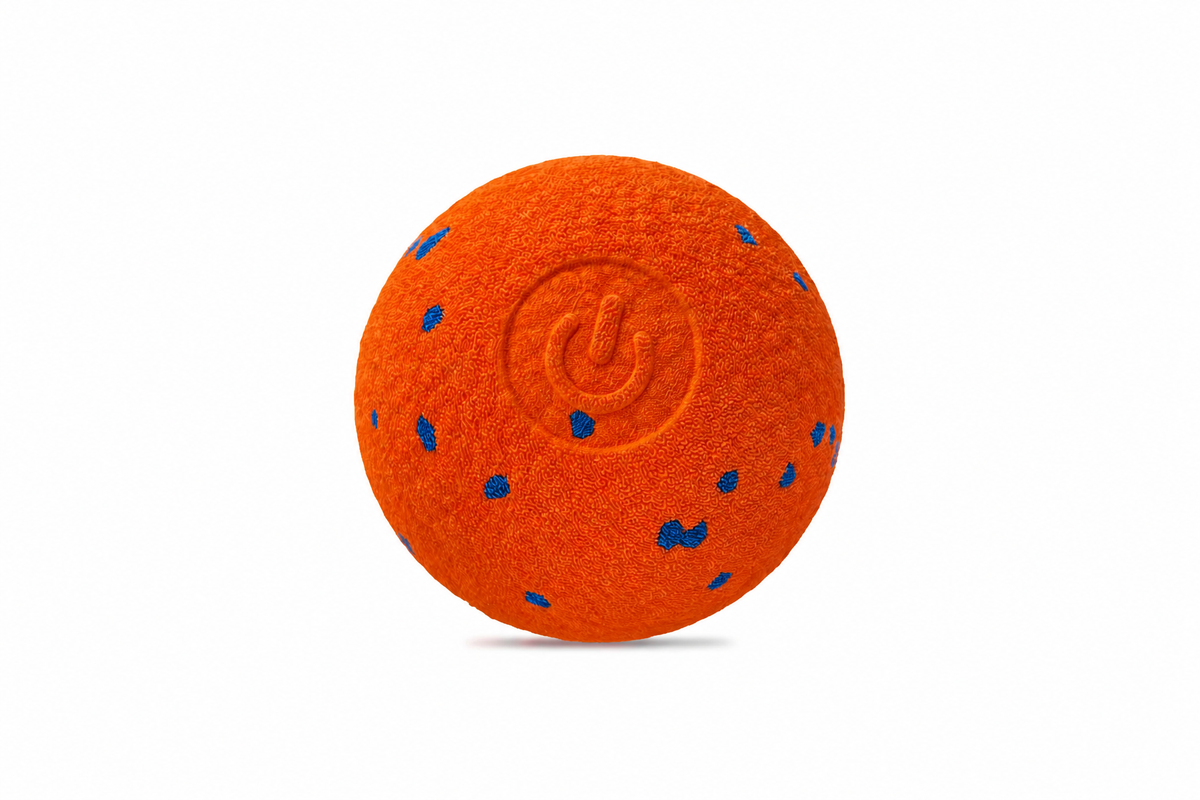 Smart Interactive Dog Ball – E - head_009.png