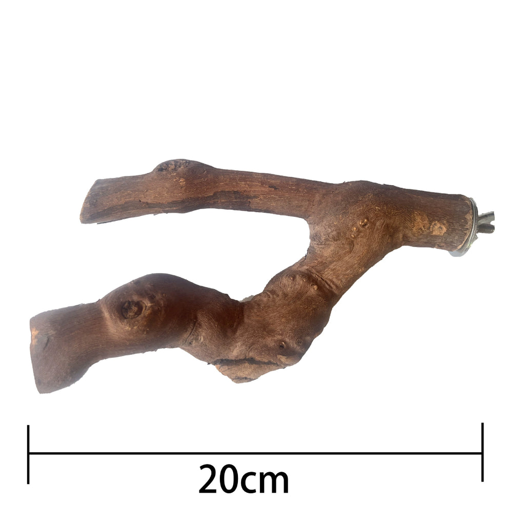 Natural Double-Branch Grapewoo - head_009.webp