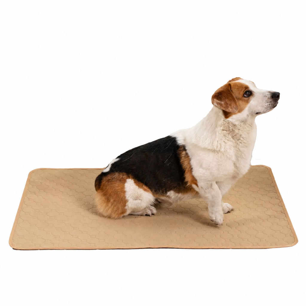 Washable Reusable Pet Urine Pa - head_009.png