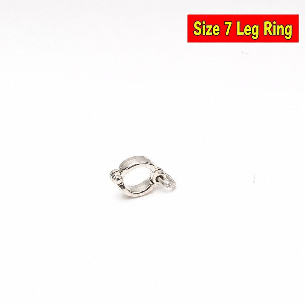 Stainless Steel Parrot Leg Cha - head_009.jpg