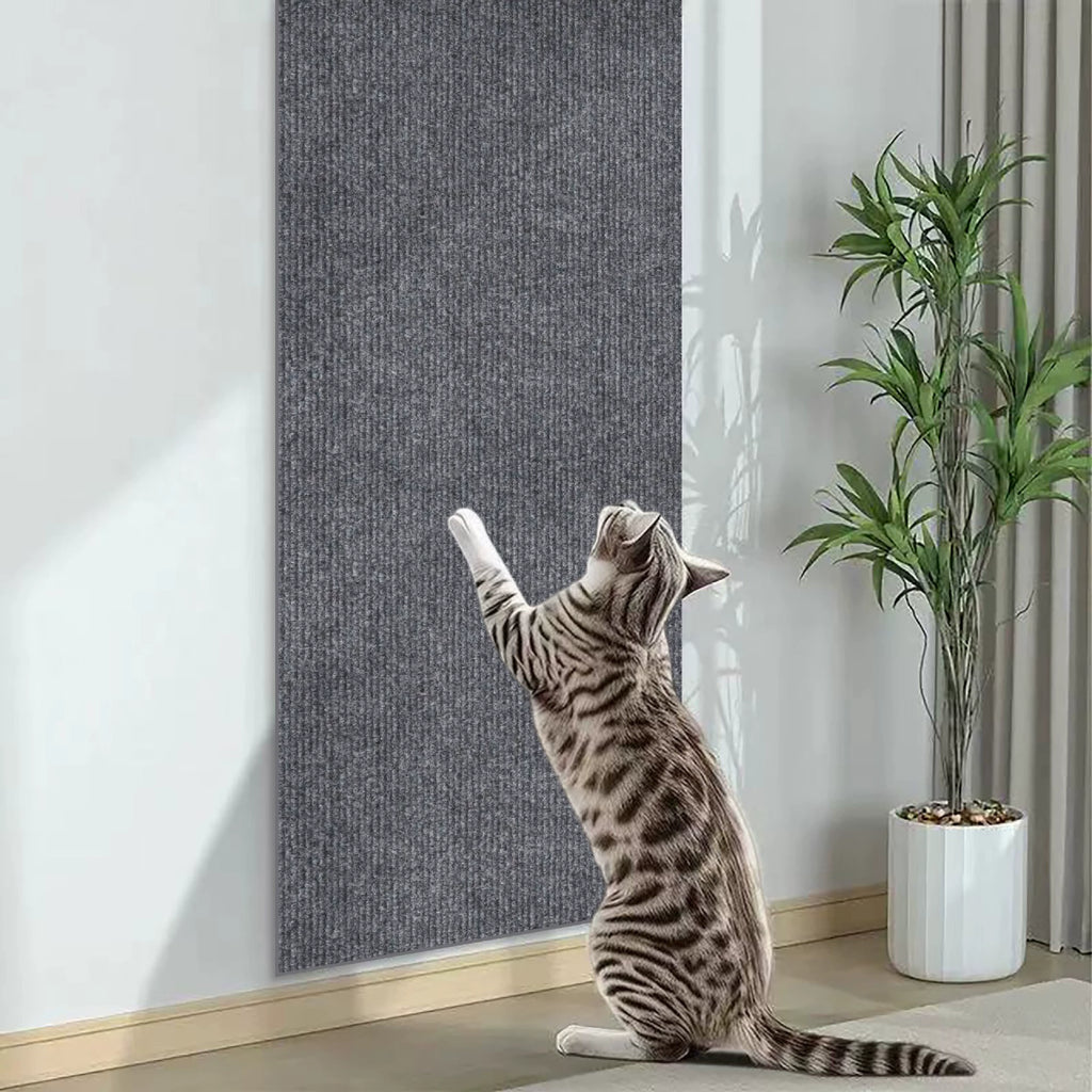 Cat Scratch Protector Stickers - head_009.webp