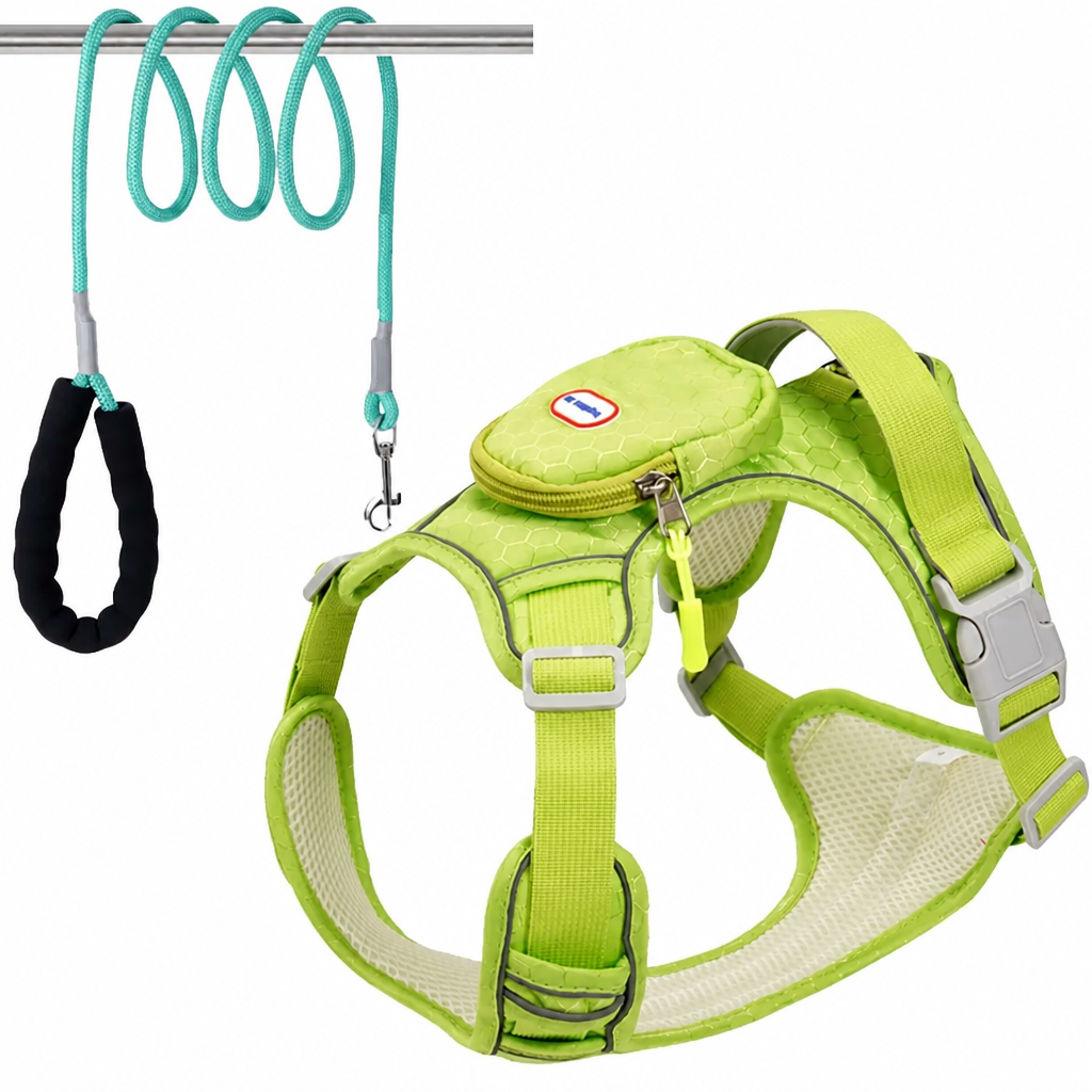 No-Pull Dog Harness & Leash Se - head_009.png