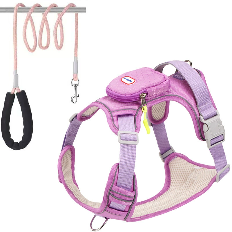 No-Pull Dog Harness & Leash Se - head_010.png