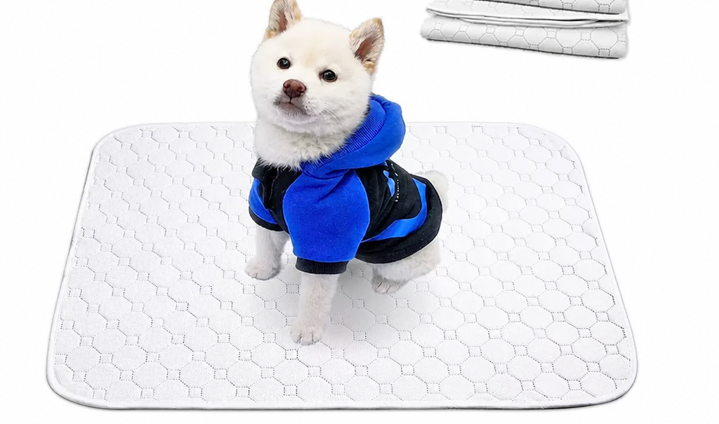 Washable Reusable Pet Urine Pa - head_010.png