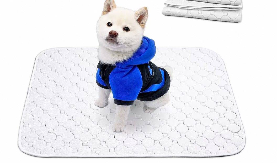 Washable Reusable Pet Urine Pa - head_010.png