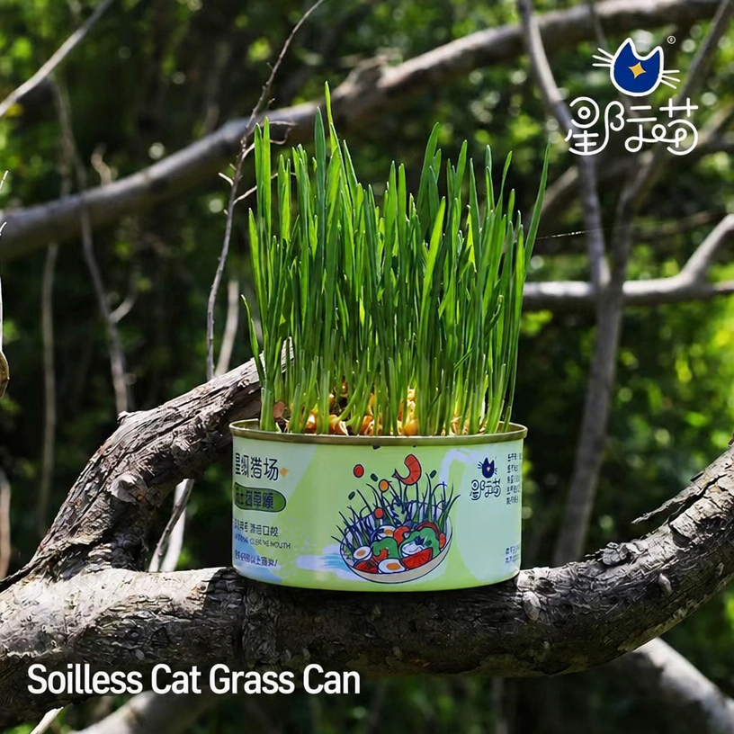 Cat Grass Growing Cup – Soil-F - head_010.png