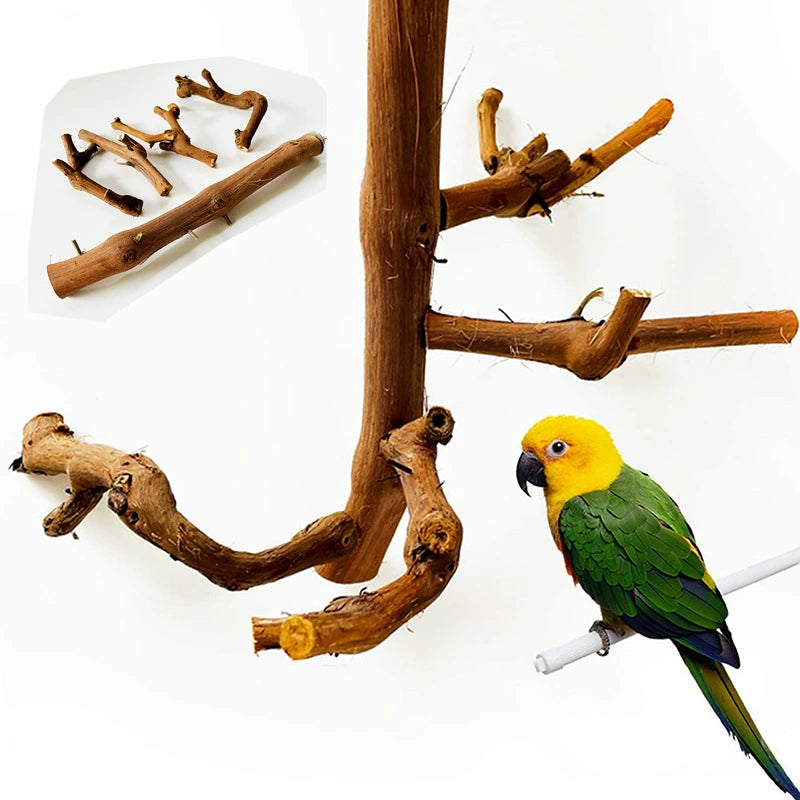 Grapewood Parrot Perch &amp; S - head_010.webp