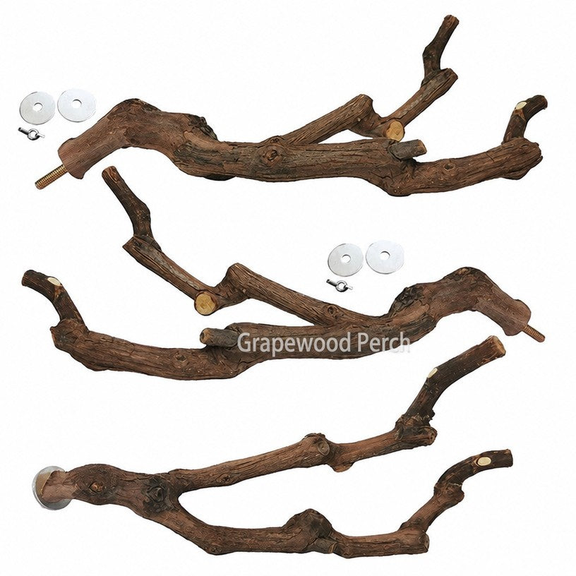 Grapewood Parrot Perch &amp; S - head_011.png