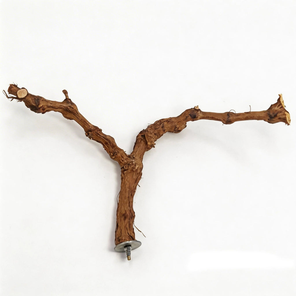 Natural Double-Branch Grapewoo - head_011.webp