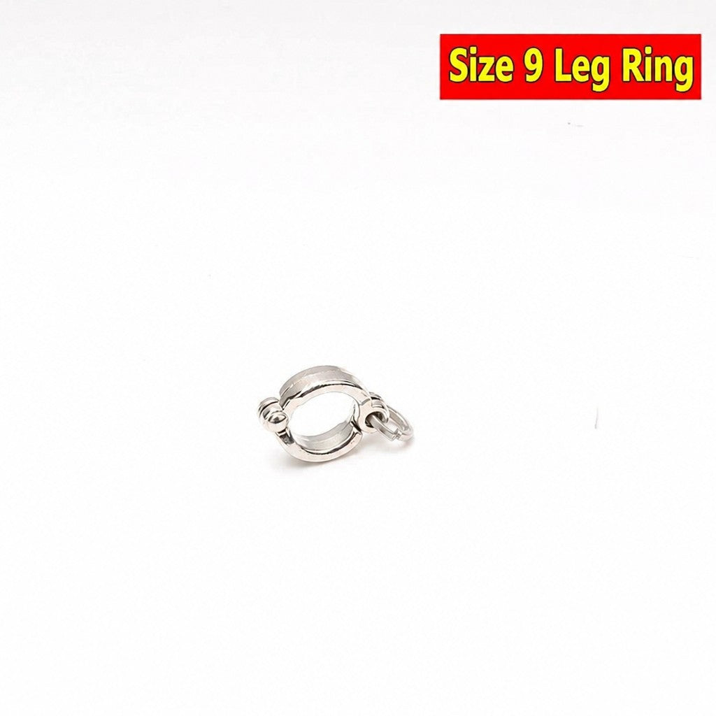 Stainless Steel Parrot Leg Cha - head_011.jpg