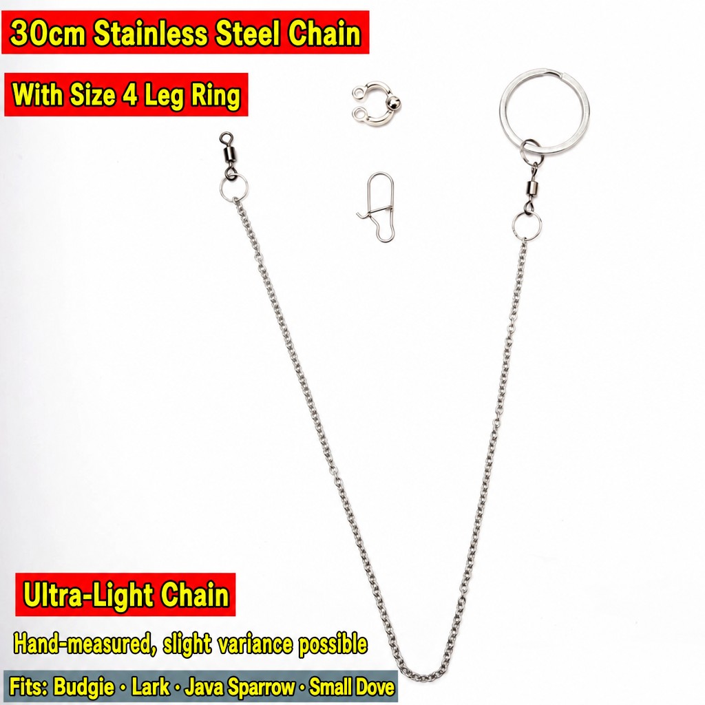 Stainless Steel Parrot Leg Cha - head_013.jpg