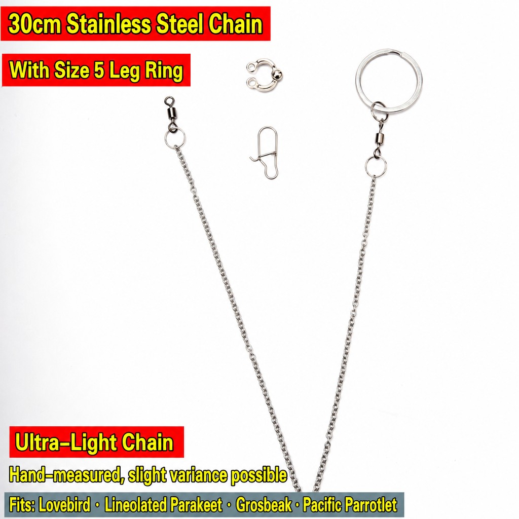 Stainless Steel Parrot Leg Cha - head_014.jpg