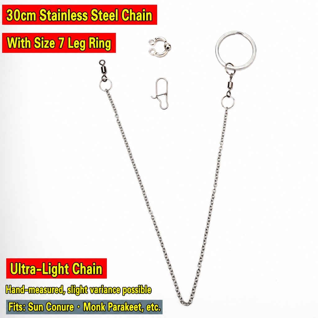 Stainless Steel Parrot Leg Cha - head_016.jpg