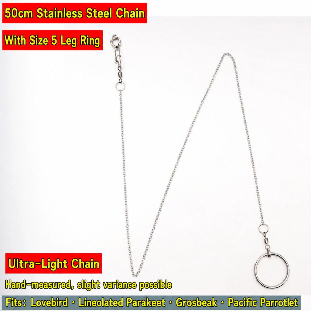 Stainless Steel Parrot Leg Cha - head_019.jpg