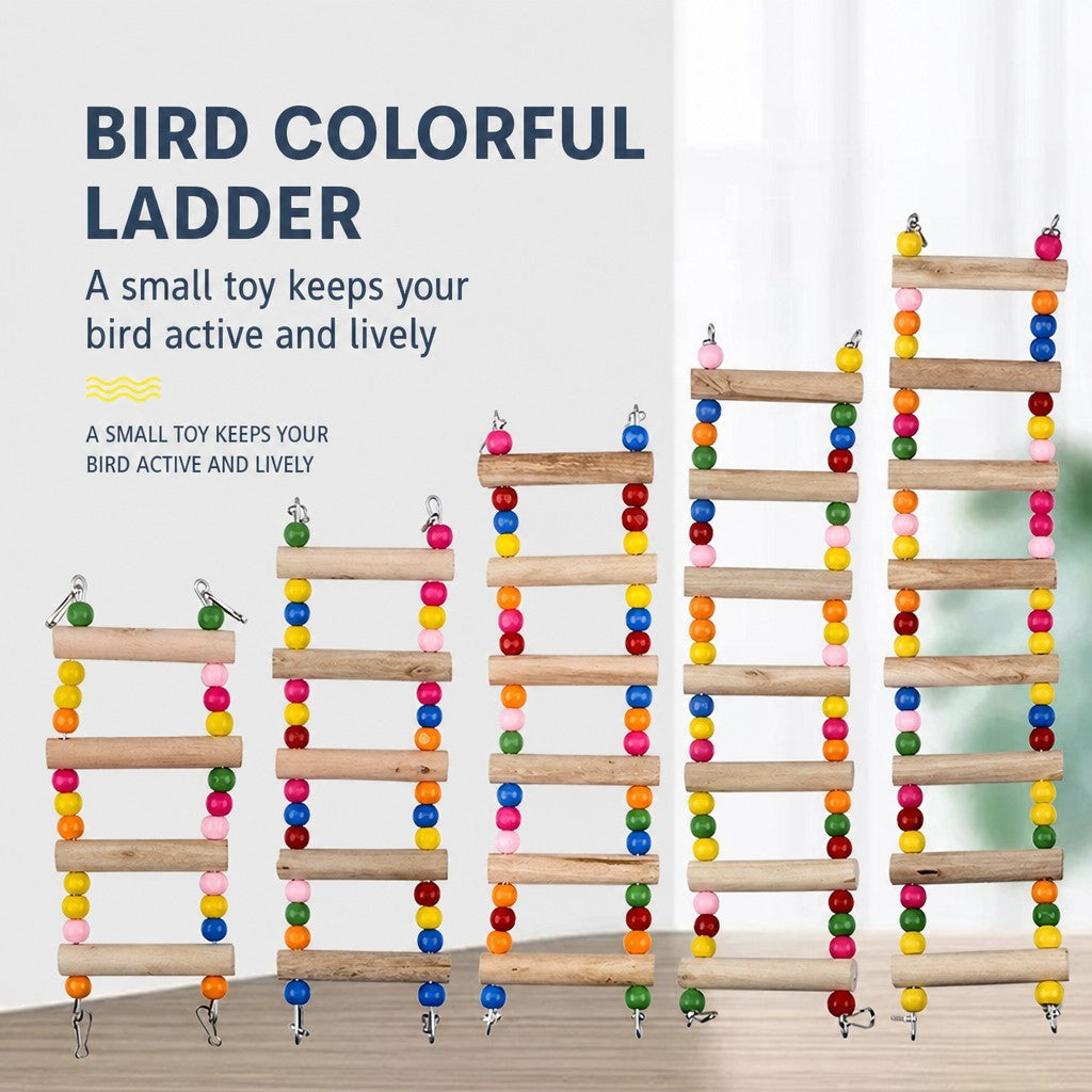 Parrot Bell & Mirror Toy Set – - head_020.png