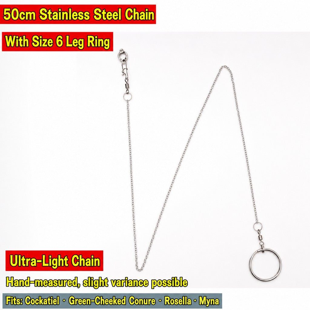 Stainless Steel Parrot Leg Cha - head_020.jpg
