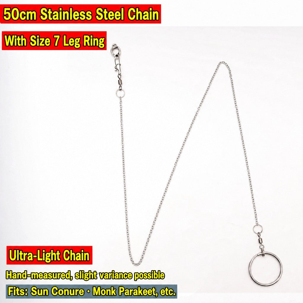 Stainless Steel Parrot Leg Cha - head_021.jpg