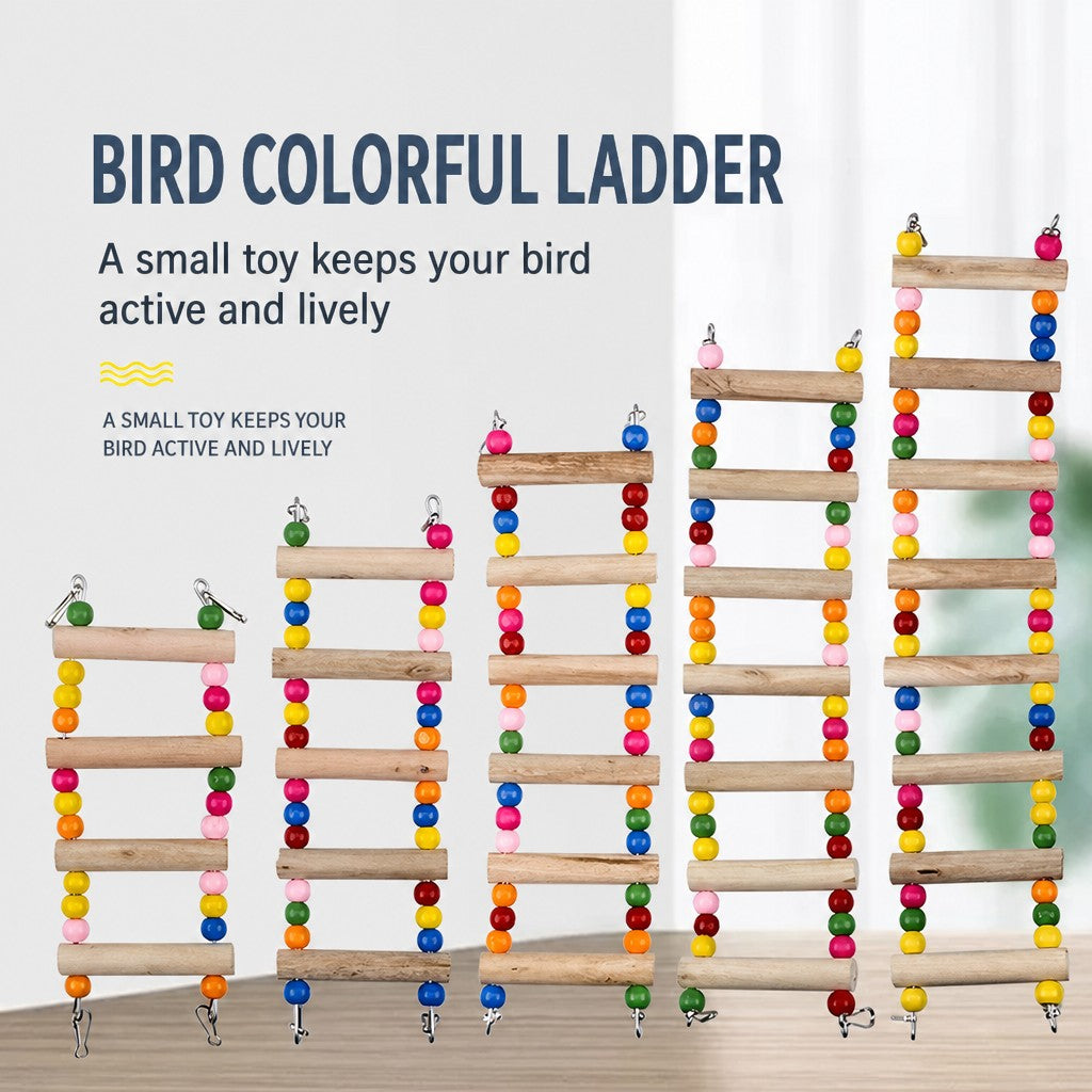 Parrot Bell & Mirror Toy Set – - head_021.png