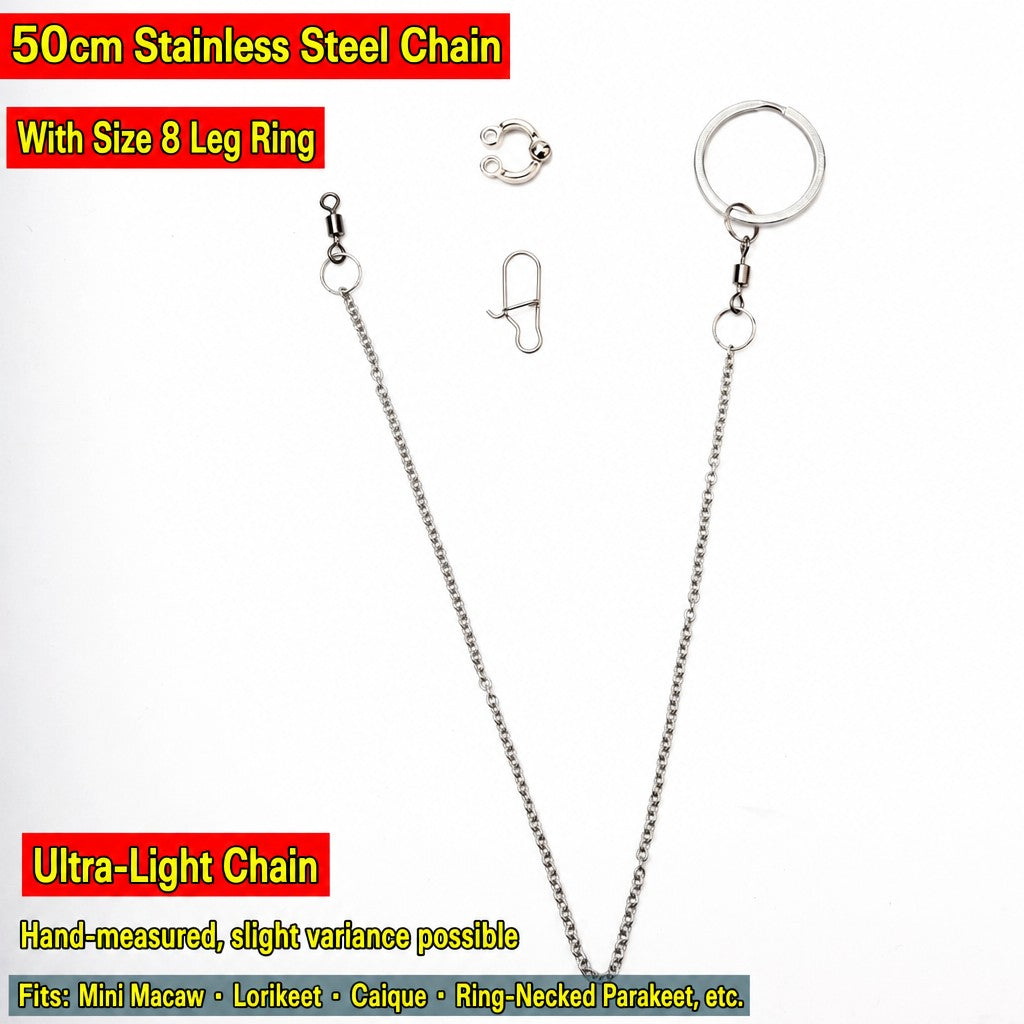 Stainless Steel Parrot Leg Cha - head_022.jpg