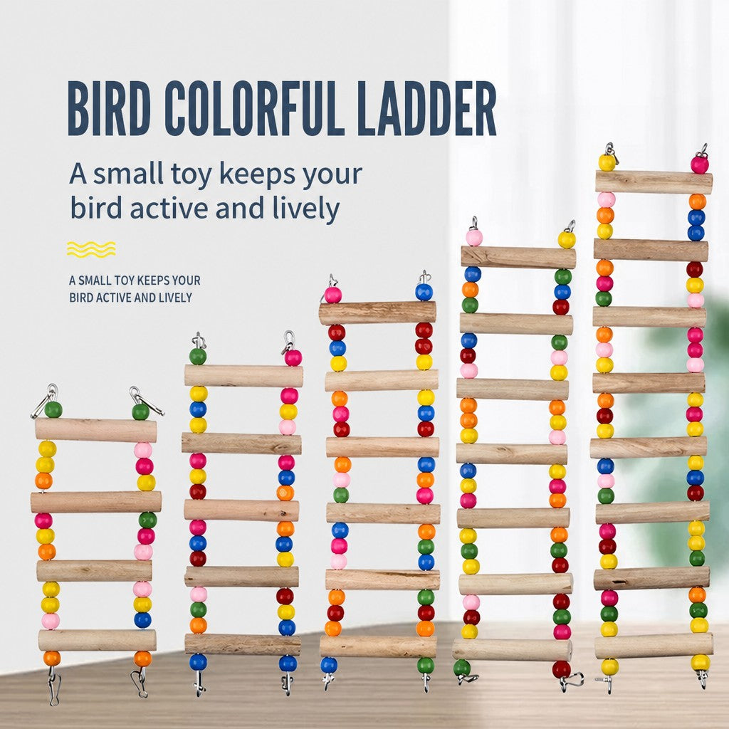 Parrot Bell & Mirror Toy Set – - head_022.png