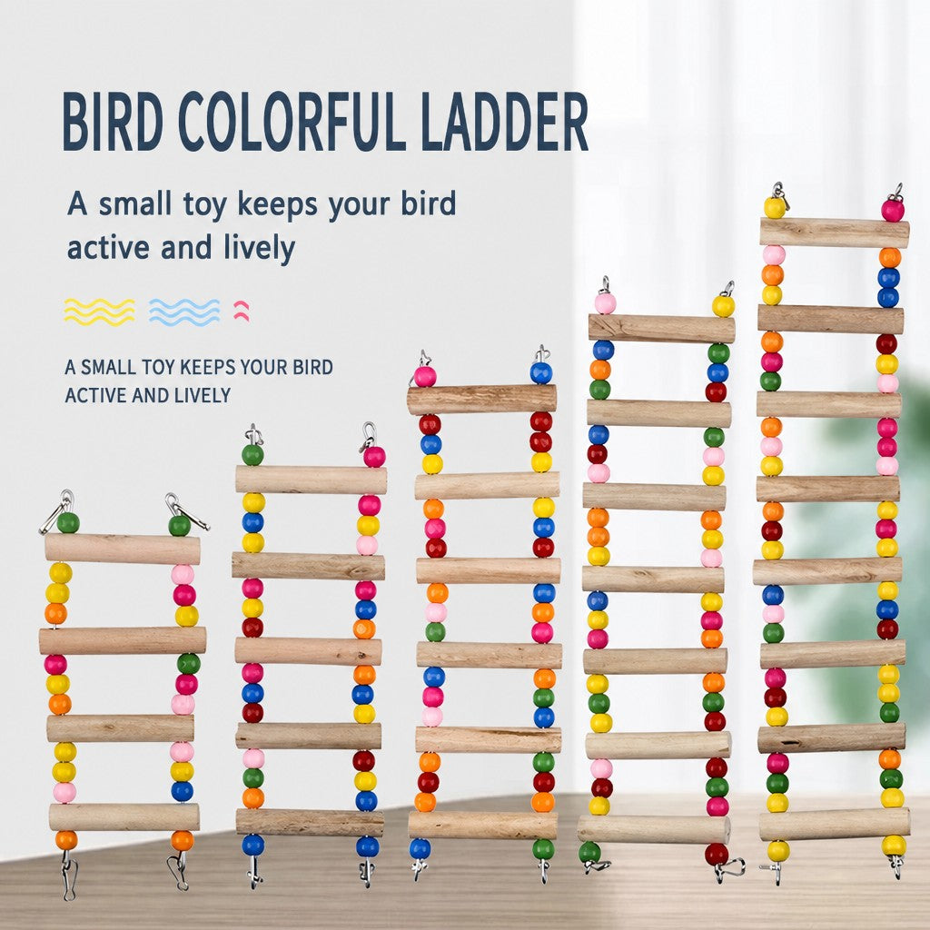 Parrot Bell & Mirror Toy Set – - head_023.png