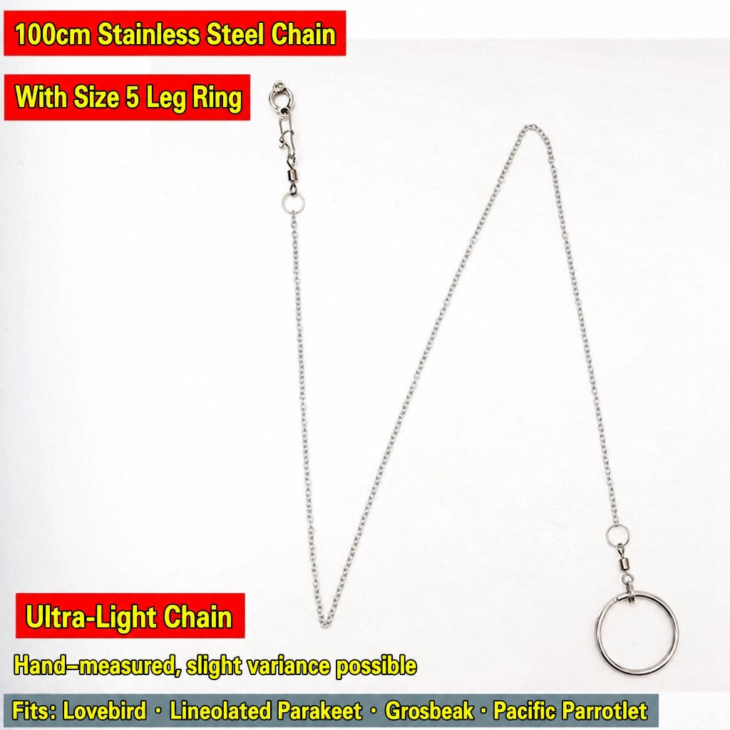 Stainless Steel Parrot Leg Cha - head_024.jpg
