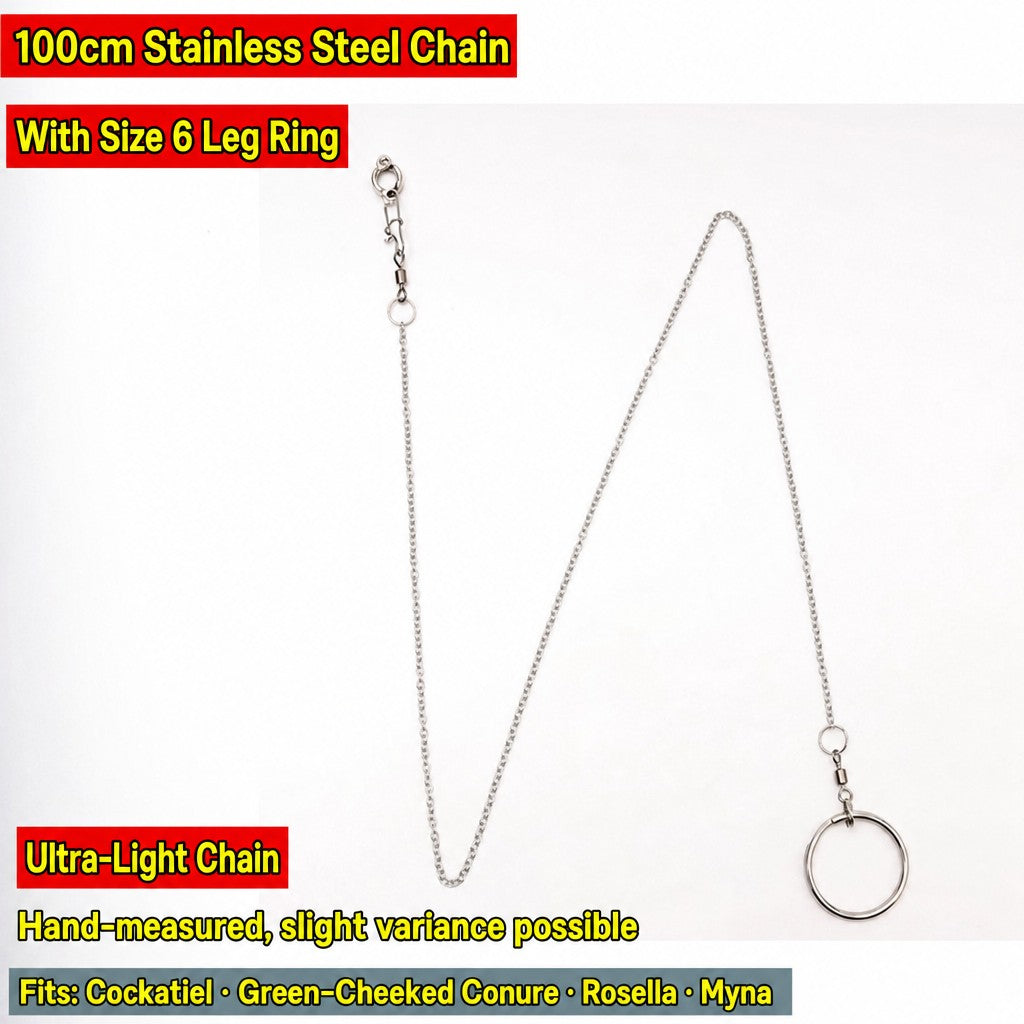 Stainless Steel Parrot Leg Cha - head_025.jpg