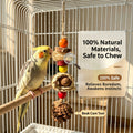 Parrot toy gnawing and biting to relieve boredom, grinding mouth string, corn braid, pine cone, starfruit, silk gourd, web gnawing and biting string, tiger skin, Xuan Feng toy