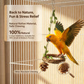 Parrot Bird Toy Handmade Vine Weaving Natural Pinecone Bird Swing Toy Tiger Skin Xuan Phoenix Peony Little Bird Bite Toy